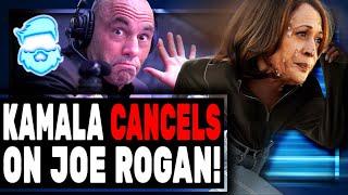 Joe Rogan SHOCKER As Kamala Harris QUITS On Appearance As Polls Plummet! All In Podcast Too!