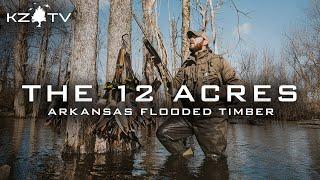 Mallards In The Flooded Timber!! (Arkansas Deadwood Hunt) K Zone TV: "The 12 Acres"