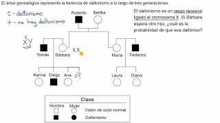 Árbol genealógico para determinar la probabilidad de presentar un rasgo recesivo ligado al sexo