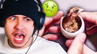 We CAN'T Explain These Videos...