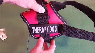 Doggie Stylz Therapy Dog Vest Review