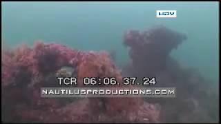 Queen Anne's Revenge Blackbeard Ballast Pile Anchor Nautilus Productions HD Stock Footage Video