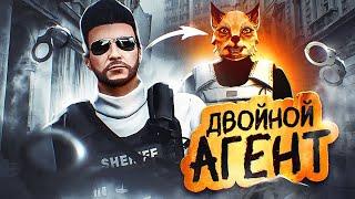 ЛЖЕ ГОСНИК РАЗВОДИТ КОПОВ НА GTA 5 RP MAJESTIC RP