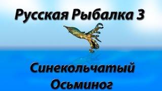 Русская Рыбалка 3 Синекольчатый Осьминог