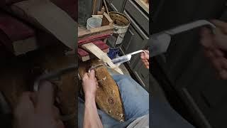 Bastionhead drawknives mean business.  The wood is ash.  #woodworking #handtools #bowmaking #sharp