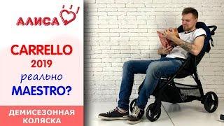 Carrello Maestro прогулочная коляска 2019 - видео обзор Каррелло Маэстро