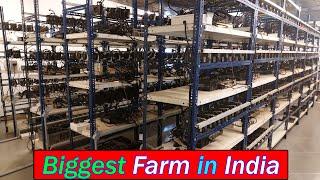 Biggest Mining Farm in India || Harsh Gupta, Sachin & Aditya Bhati || [Hindi].