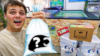 Buying $5,000 worth of Tangs & Angel Fish for My SALTWATER POND!!