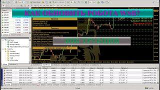 Как просто обновить новую версию робота #WSB (Инструкция)