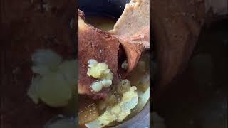 Early Medieval Food 3x Replica