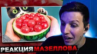 МАЗЕЛЛОВ СМОТРИТ SlivkiShow - ЭКСПЕРИМЕНТЫ КОТОРЫЕ НЕЛЬЗЯ ПОВТОРЯТЬ - ОТ 1 ДО 100 УРОВНЯ | РЕАКЦИЯ