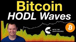 Bitcoin HODL Waves