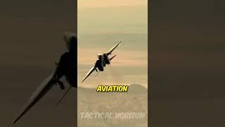 What's So Special About The Legendary F-14  #tomcat #topgun #military #airforce #shorts