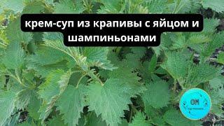 крем-суп из крапивы с яйцом и шампиньонами