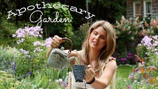 How to Start an Apothecary Garden for Beginners- Growing Your Own Medicine