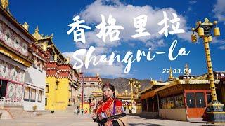 在云南香格里拉的第一天｜Day One in Shangri-La, YunNan Province, China.