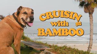 CRUISIN WITH BAMBOO - Carver Skateboards