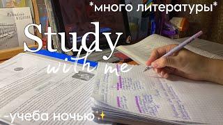 STUDY WITH ME|учеба ночью,много ЕГЭ по литературе,стади,отвечаю на вопросы