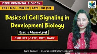 Basics Of Cell Signaling in Development || CSIR NET 2024 || Development Biology