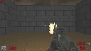 STALKER: Doom Project - AKM-74/2 Test