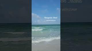 Honeymoon Island State Park, Florida. #florida #honeymoonisland  #beachwalk #calm #waves #beach