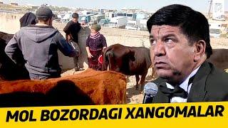 Handalak - Mol bozordagi hangomalar