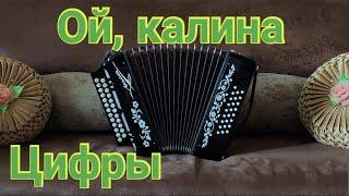 Ой, калина/ Разбор на гармони/ Ой, калина цифры/ Опрос в комментариях