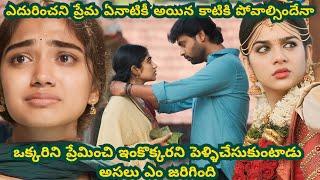 Joe Full Movie Explained In Telugu | Gambler Rn