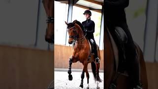 Fetish for my love  | entry for comp @Horse.World.Official