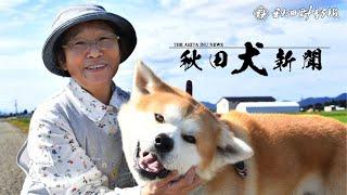 【秋田犬新聞】地域、家族の愛情一身に　大仙市の大石さんと孝太郎