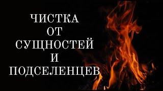 ЧИСТКА ОТ СУЩНОСТЕЙ, БЕСОВ, ЛЯРВ, ПОДСЕЛЕНЦЕВ, сосущих вашу жизненную энергию.