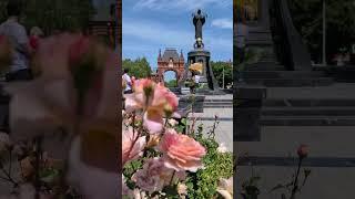 яркое и солнечное лето в Краснодаре