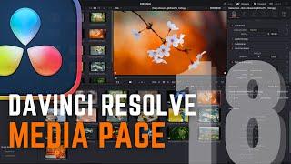 Die Media Page ist GENIAL! - DaVinci Resolve 18.5 [EP4]