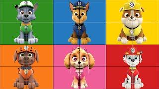 PAW Patrol Color Puzzle - Green, Blue, Yellow, Orange, Pink, Red | Colors For Kids