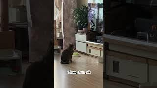 일욜아침 동물농장은 못참지