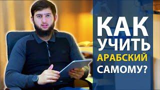 Как выучить АРАБСКИЙ ЯЗЫК самостоятельно? Пошаговая инструкция.