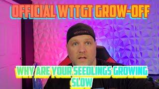 GT's Grow Contest & Why are Your Seedlings Growing Slow