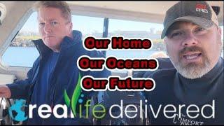 Introducing Real Life Delivered