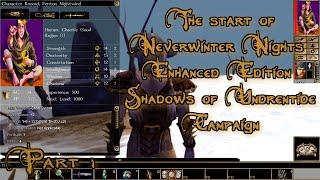 Neverwinter Nights Enhanced Edition Shadows of Undrentide Chapter 1 Start