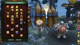 Allods Online Билд Хила Жреца 9.0