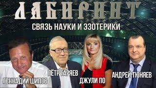 НУМЕРОЛОГИЯ | ЛАБИРИНТ | Связь Науки и Эзотерики | Джули По, А.А.Тюняев, П.П.Гаряев, Г.И.Шипов