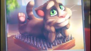 Talking Tom sings - Hey, fat!