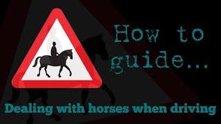 Driving near horses: a how to guide…