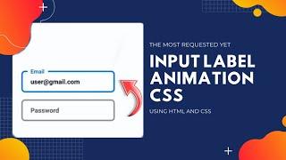 Input Animation with HTML and CSS | Input Label Animation | Codic gyan