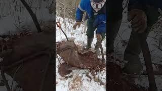 #коп #2024 #заработок ,нашли артефакт