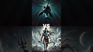 Shiva vs Animals vs Vishnu (T Rex, Dinosaur, Lion, Orca, Elephant, Rhino)