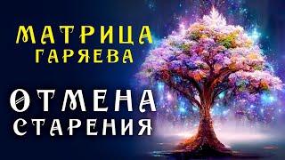 Самое Мощное Омоложение организма ️ Матрица Гаряева Торможение Старения