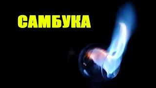 Самбука - итальянский ликёр. Как правильно пить самбуку?