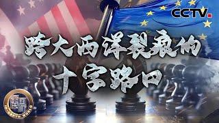 跨大西洋裂痕的十字路口 20250301 | CCTV中文《深度国际》