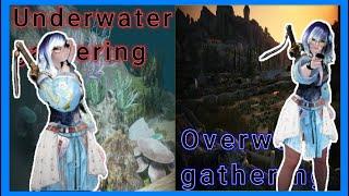 Can You Do Underwater Gathering in BDO without a Ship or Going Underwater?